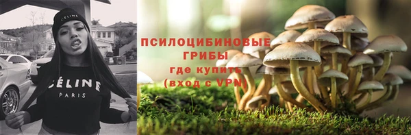 героин Богданович