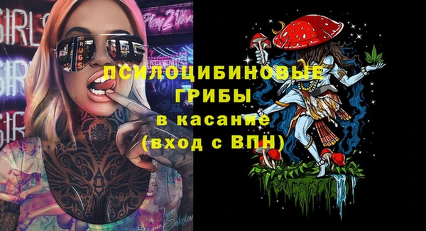 винт Богородицк