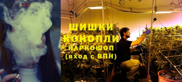 дурь Покачи