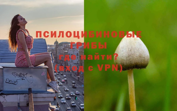 прущие крисы Богородск