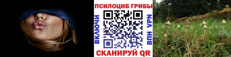 Галлюциногенные грибы мухоморы  Тихвин 