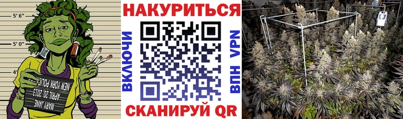 Шишки марихуана план Тихвин